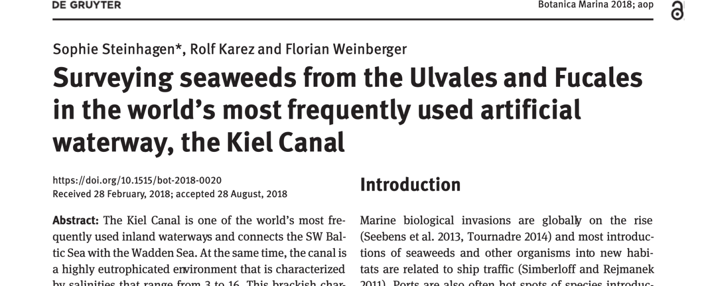 Sewaweed Research Steinhagen Dr. Sophie Steinhagen Algae Kiel Canal Ulvales Fucales